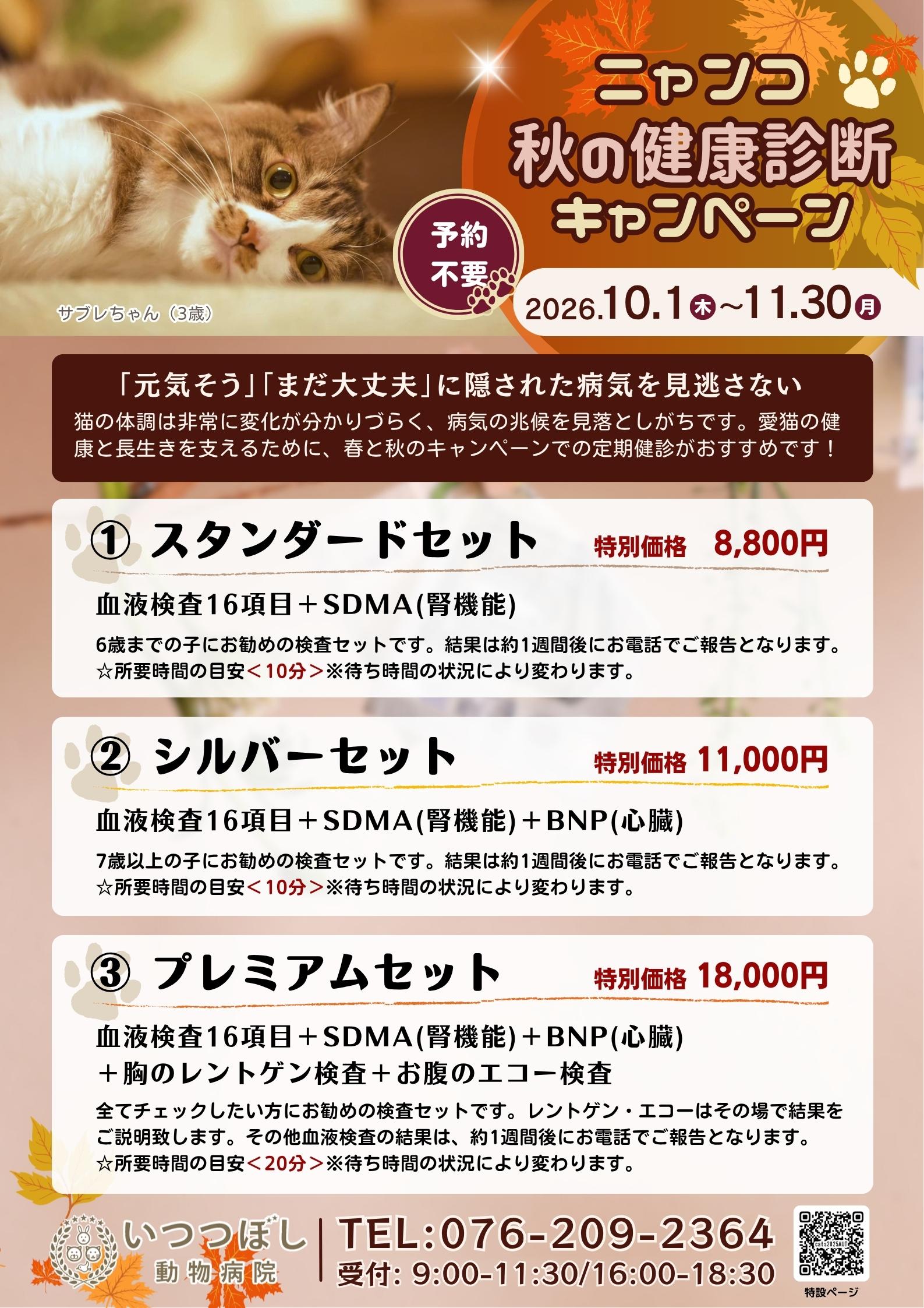 ニャンコ☆秋の健康診断キャンペーン2026　石川県野々市市　いつつぼし動物病院　＜猫の健康診断＞