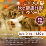 ニャンコ☆秋の健康診断キャンペーン2026　石川県野々市市　いつつぼし動物病院　＜猫の健康診断＞