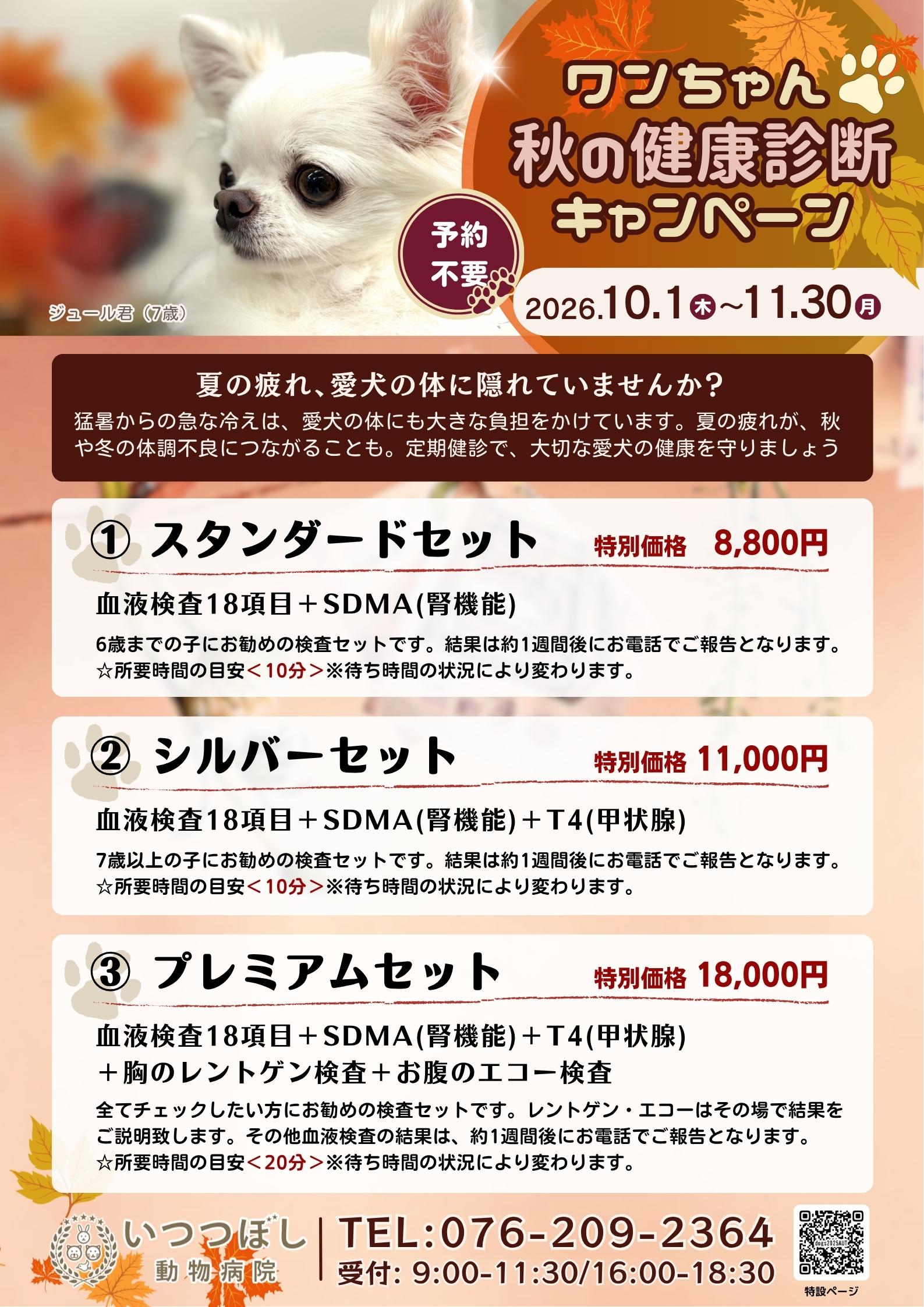 ワンちゃん☆秋の健康診断キャンペーン2025　石川県野々市市　いつつぼし動物病院　＜犬の健康診断＞