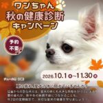 ワンちゃん☆秋の健康診断キャンペーン2025　石川県野々市市　いつつぼし動物病院　＜犬の健康診断＞